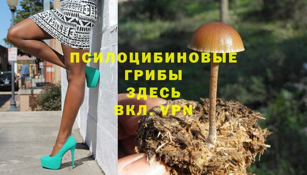 метадон Богданович