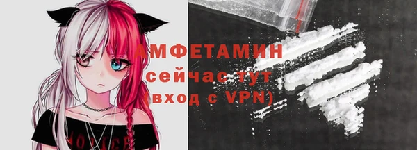 метадон Богданович
