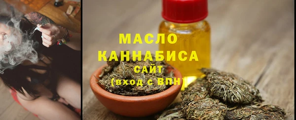 мдпв Богородск