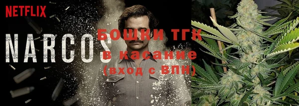 мдпв Богородск
