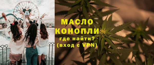 метадон Богданович