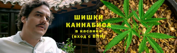 мдпв Богородск